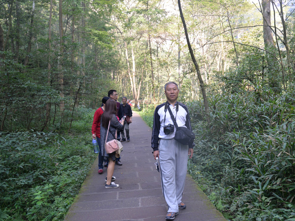 团队风采展示